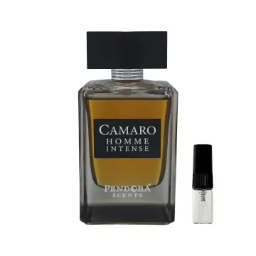 Paris Corner Camaro Homme Intense Sample
